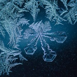Frost Crystals